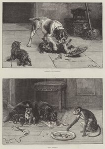 Perros y Comida de S.T. Dadd