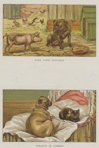 Perros humorísticos de S.T. Dadd