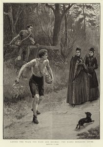 Trazando el rastro para la caza del conejo, los conejos saliendo de la cobertura