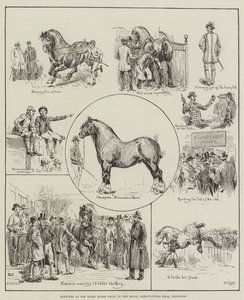 Bocetos en la Exposición de Caballos Shire, en el Royal Agricultural Hall, Islington