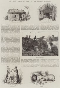 El Tribunal de Australia del Sur en la Exposición Colonial