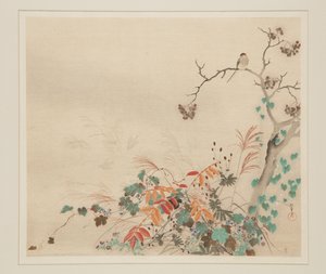 Halcón sobre plantas de Sakai Hoitsu