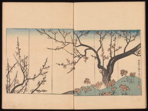  de Sakai Hoitsu