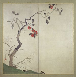 Caqui en el árbol de Sakai Hoitsu