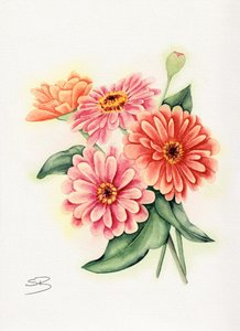Ramo de zinnias de colores vivos de Salome