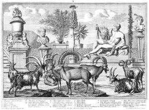 capricornio de Salomon Kleiner