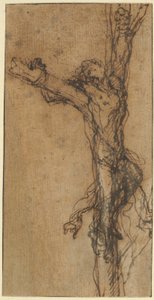 Estudio para la crucifixión de Polícrates de Salvator Rosa