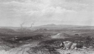 Australia: Vista cerca de Botany Bay (grabado) de Samuel (after) Prout