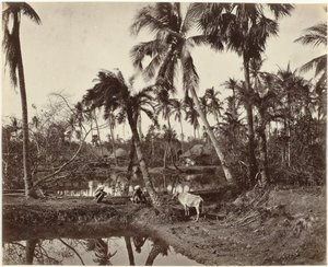 Vista del pueblo en Bengala, India Escena rústica y vida de pueblo en Bengala (título original) de Samuel Bourne (signed by artist)