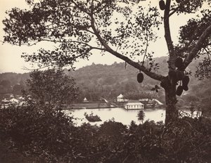 Vista desde Upper Lake Road mostrando el templo y la isla con parque - árbol frutal en primer plano, c1865 de Samuel Bourne