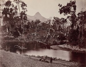 Vistas de Ceilán al Diente de Adán de Samuel Bourne