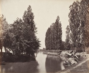 Río con árboles (India) de Samuel Bourne