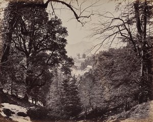 Shimla. La iglesia entre los árboles, desde Jakko de Samuel Bourne