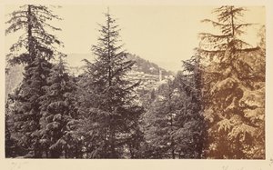 Simla; La iglesia a través de los árboles, de Jakko