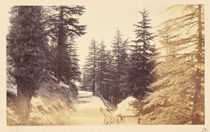  de Samuel Bourne