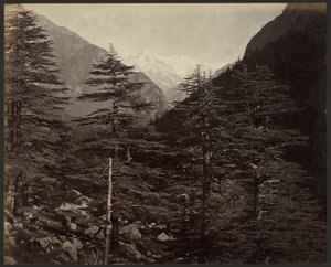 Picos nevados cerca de Gangotri, desde Bhairamghati de Samuel Bourne