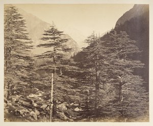 Picos nevados cerca de Gangootri desde Bhairamghati. Fotógrafo: Bourne, Samuel Álbum de fotografías de la India, principalmente por Samuel Bourne1866