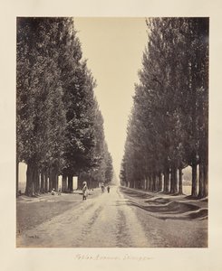  de Samuel Bourne