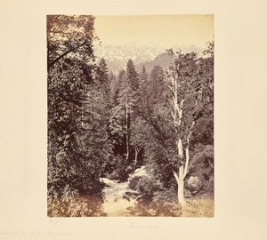  de Samuel Bourne