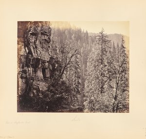Vista en el bosque de Narkunda de Samuel Bourne