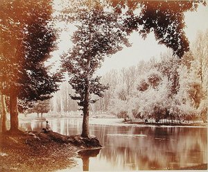 Vista en el canal Dhul, Cachemira, c.1865 de Samuel Bourne