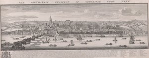 S.E. Prospecto de Newcastle de Samuel Buck