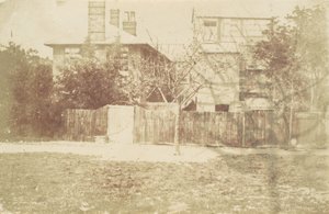 Árbol en el patio, 1850s de Samuel Buckle