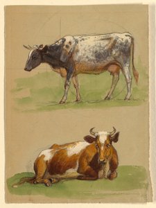 Ganado, una vaca caminando y una vaca agachada de Samuel Colman