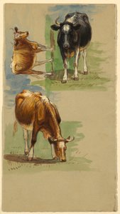 Dibujo, Ganado, Novillos, 1875-80 de Samuel Colman