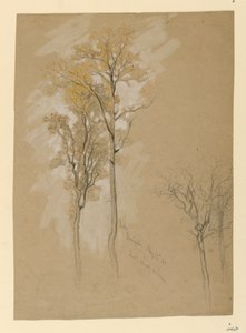 Robles, Lady Wood Lane, Irvington