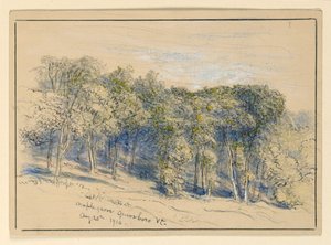 Estudio de Maple Grove, Greensboro, Vermont de Samuel Colman