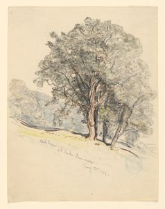 Estudio de robles en el lago Dunmore, Vermont de Samuel Colman