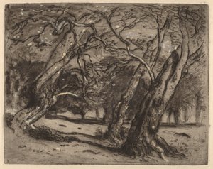 Sin título (Paisaje boscoso) de Samuel Colman