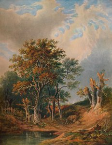 Paisaje, 1847 de Samuel David Colkett