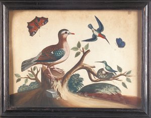 Paloma de alas verdes, con colibríes de garganta roja, mariposa pavo real y mariposa ultramarina