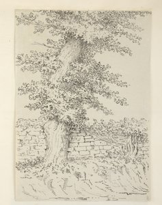 Agregar. MS 15546 Am Olmo en Bedminster de Samuel Hieronymous Grimm