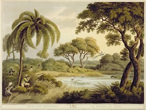 Caza de pavos reales, de Deportes de campo orientales, pub. por Edward Orme, 1807 de Samuel Howett
