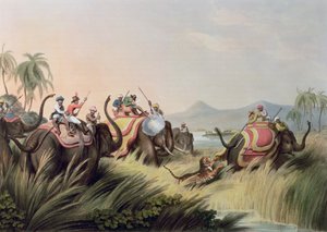 El tigre acorralado, de Deportes de campo orientales, pub. por Edward Orme, 1807 de Samuel Howett