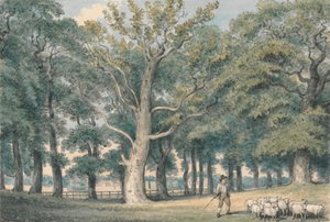 Paisaje de parque con pastor y ovejas de Samuel Howitt
