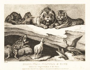 Un juicio entre animales, con el león y el tigre como jueces. 1811 (grabado) de Samuel Howitt