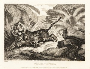 Un zorro observa a un tigre herido. 1811 (grabado) de Samuel Howitt