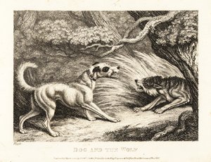 Un perro doméstico con collar ofrece comida a un lobo hambriento. 1811 (grabado) de Samuel Howitt