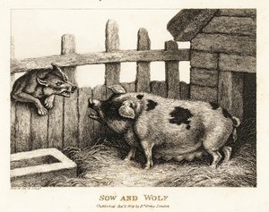 Una cerda grande en una pocilga gruñendo a un lobo. 1811 (grabado)