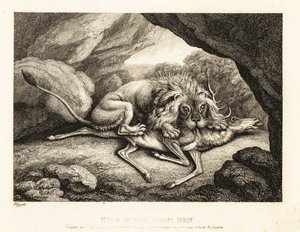 Un león comiendo el cadáver de un ciervo en una cueva. 1811 (grabado) de Samuel Howitt