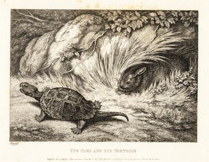 Una tortuga adelanta a una liebre dormida en una carrera. 1811 (grabado)