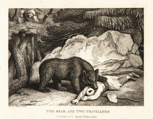 Un viajero con turbante se hace el muerto al ser atacado por un oso. 1811 (grabado) de Samuel Howitt