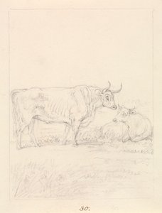 Toro y vaca de Samuel Howitt