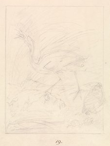 Grullas y ranas de Samuel Howitt