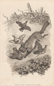 Zorro y perdices de Samuel Howitt
