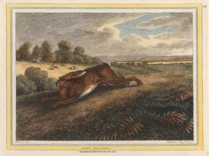 Correr con liebre de Samuel Howitt
